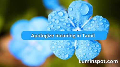 Apologize meaning in Tamil