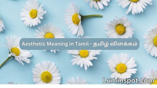 Aesthetic Meaning in Tamil