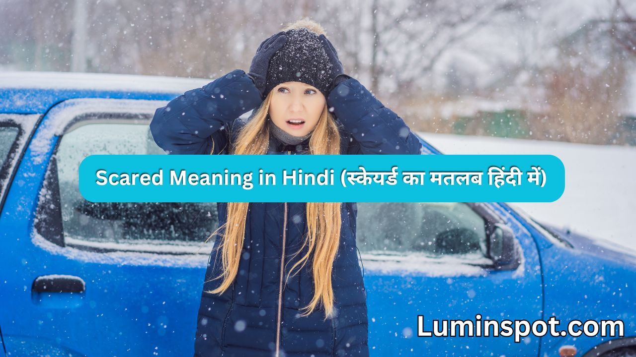 Scared Meaning in Hindi (स्केयर्ड का मतलब हिंदी में)